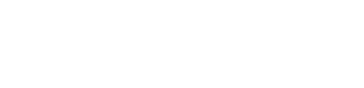 Paradocs Logo